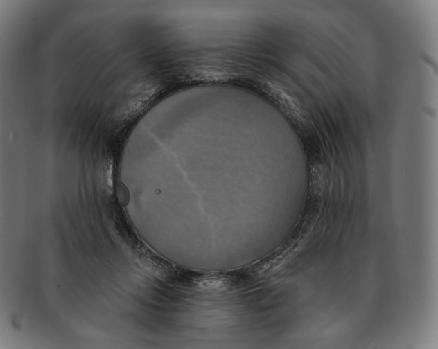 X0000091290358200708311322