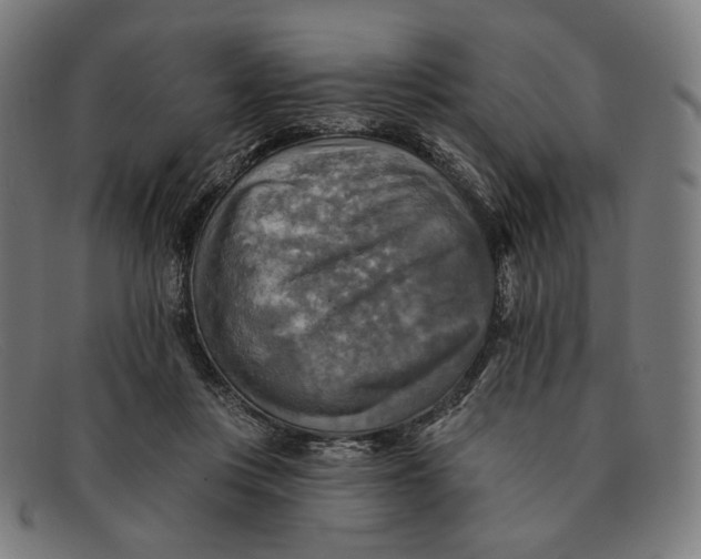 X0000091290359200708311322