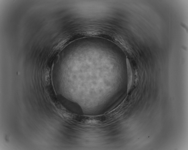 X0000091290360200708311322