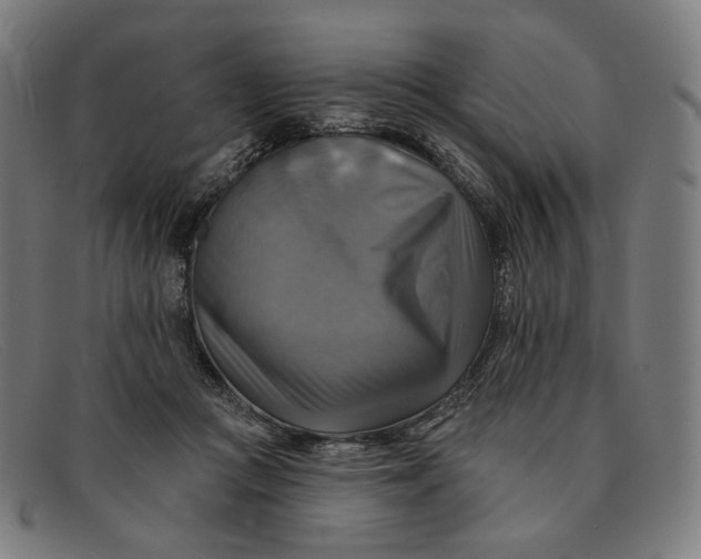 X0000091290361200708311322