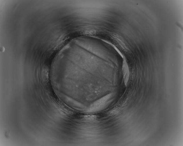 X0000091290363200708311322