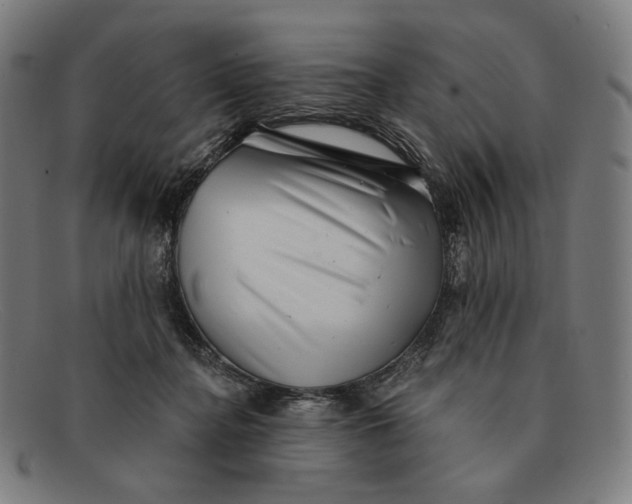 X0000091290364200708311322