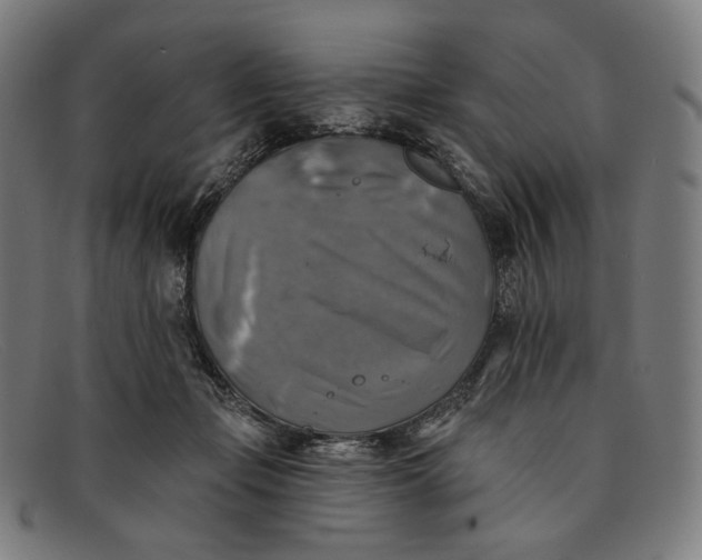 X0000091290365200708311322