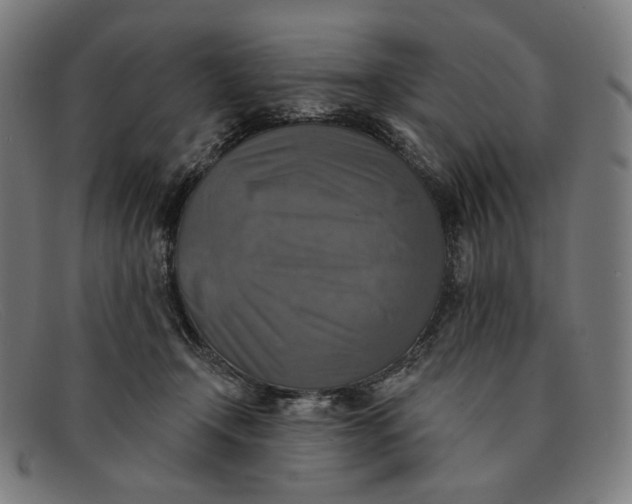 X0000091290366200708311322