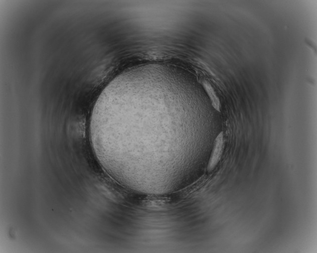 X0000091290368200708311322