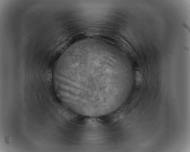 X0000091290372200708311322