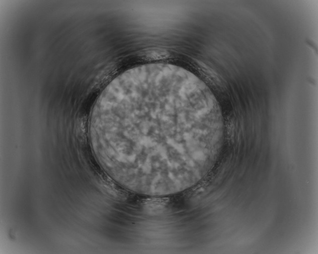 X0000091290373200708311322