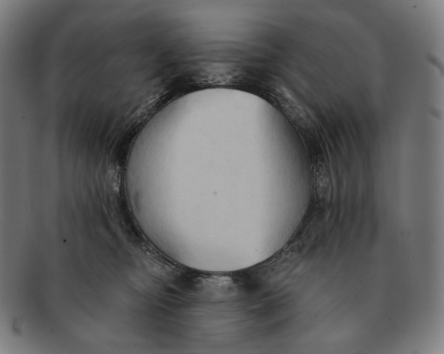 X0000091290374200708311322