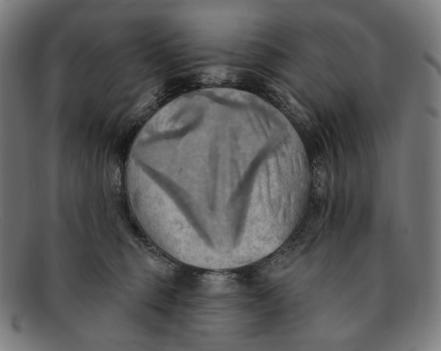 X0000091290375200708311322