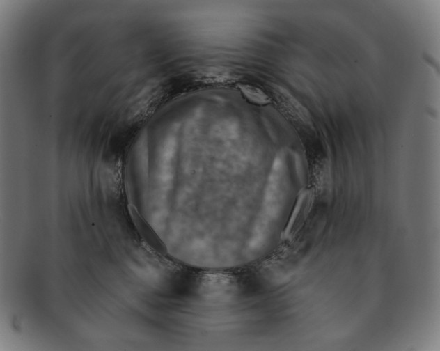 X0000091290376200708311322