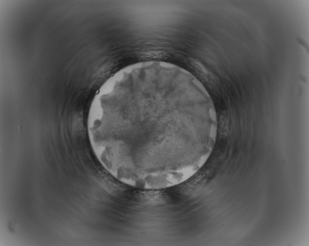 X0000091290377200708311322