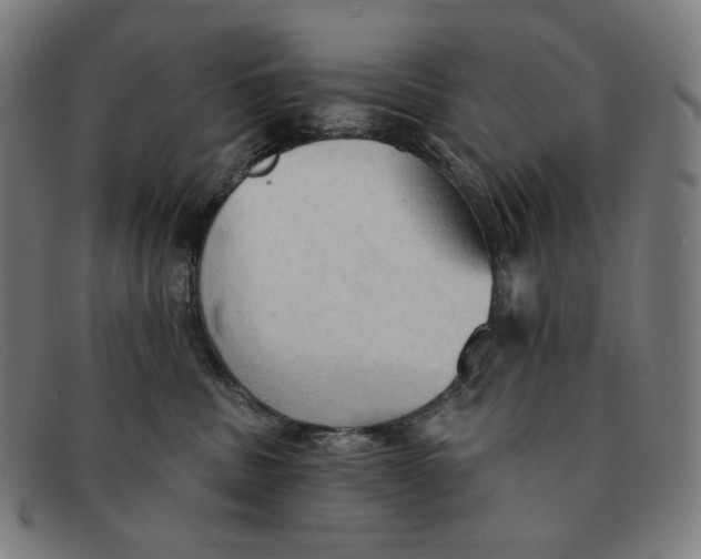 X0000091290379200708311322