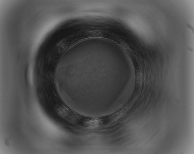 X0000091290383200708311322