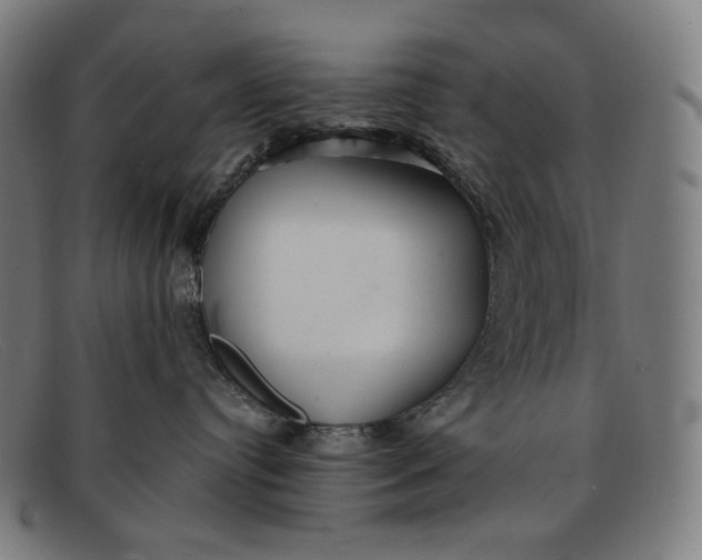 X0000091290384200708311322