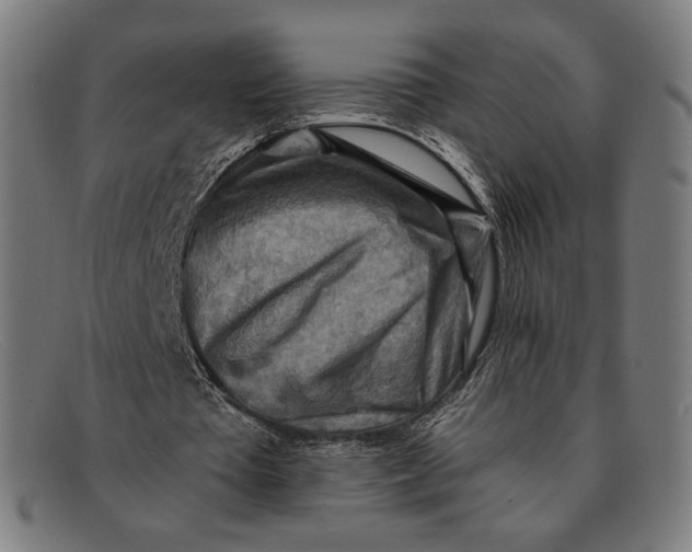 X0000091290385200708311321