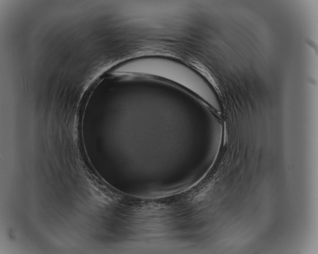 X0000091290387200708311321