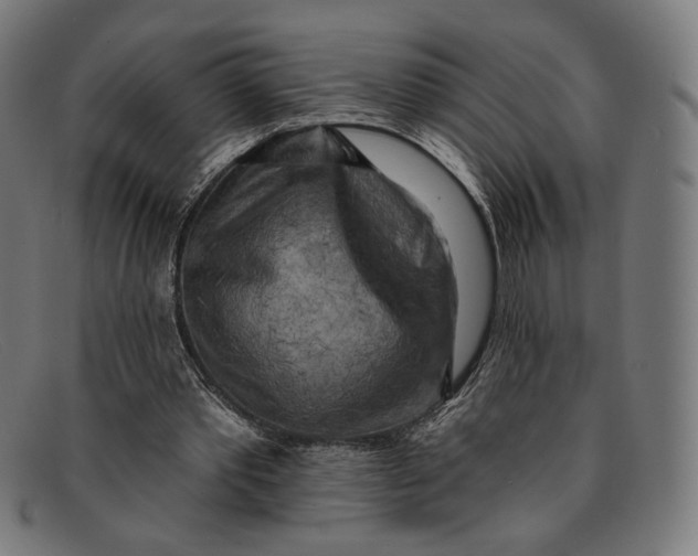 X0000091290389200708311321