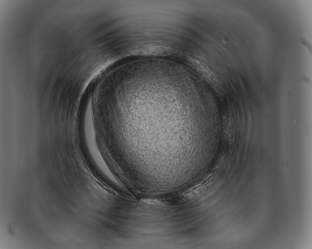 X0000091290392200708311321