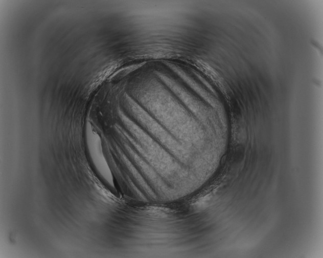 X0000091290393200708311321