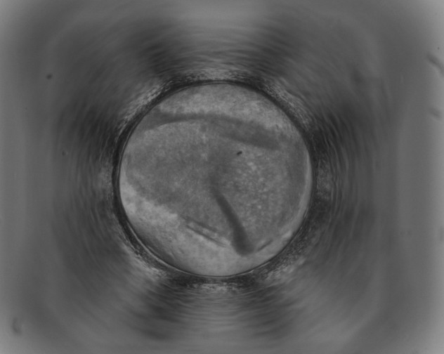 X0000091290394200708311321