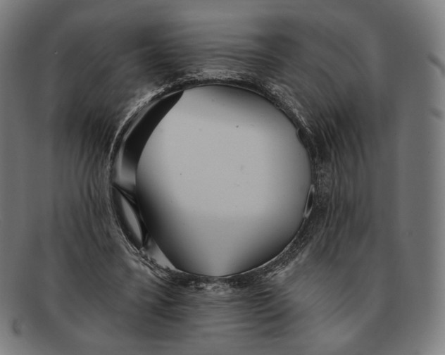 X0000091290395200708311321