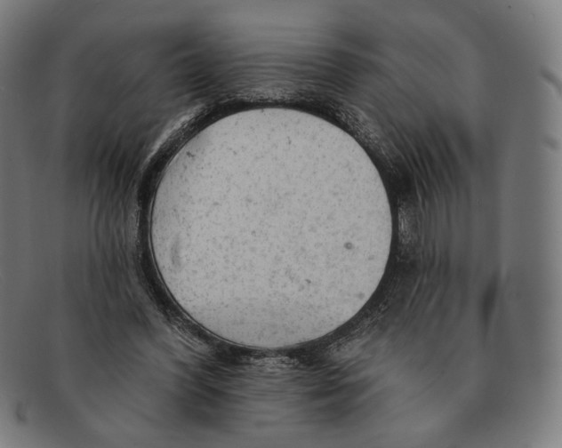 X0000091290396200708311321