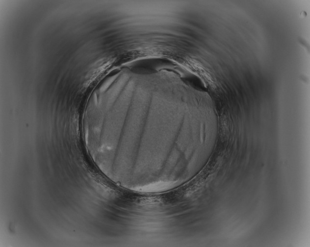 X0000091290398200708311321