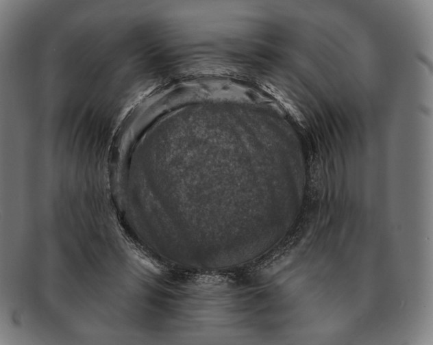 X0000091290399200708311321