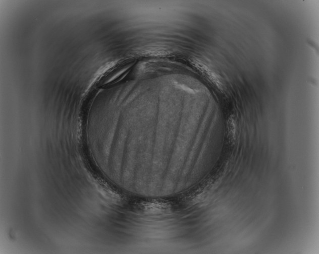 X0000091290400200708311321