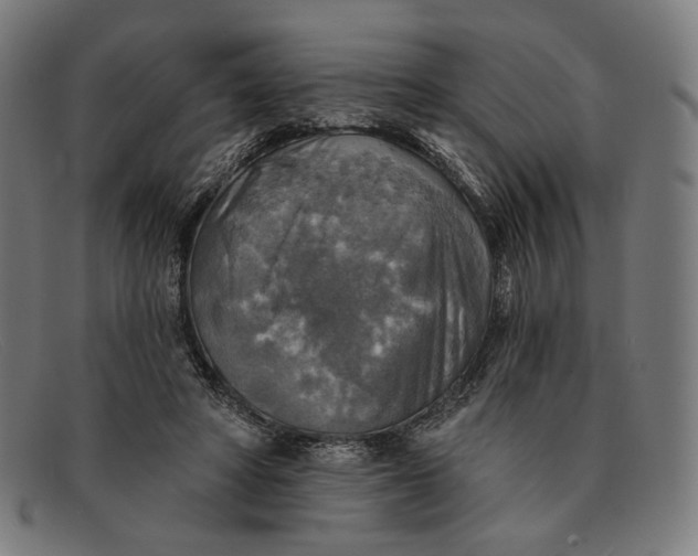 X0000091290402200708311321