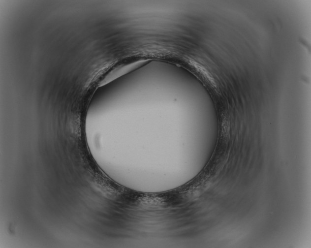 X0000091290403200708311321