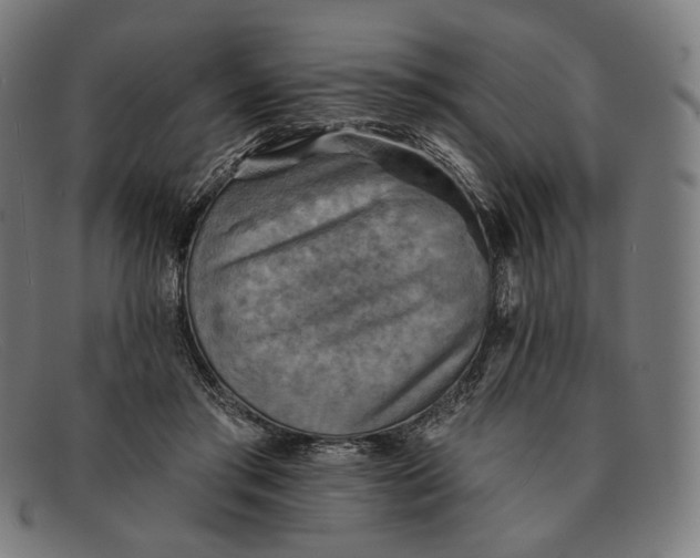 X0000091290405200708311321