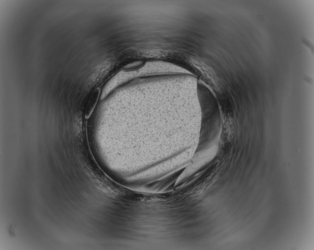 X0000091290407200708311321