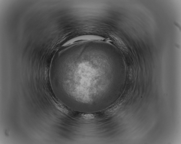 X0000091290409200708311321