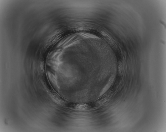 X0000091290410200708311321