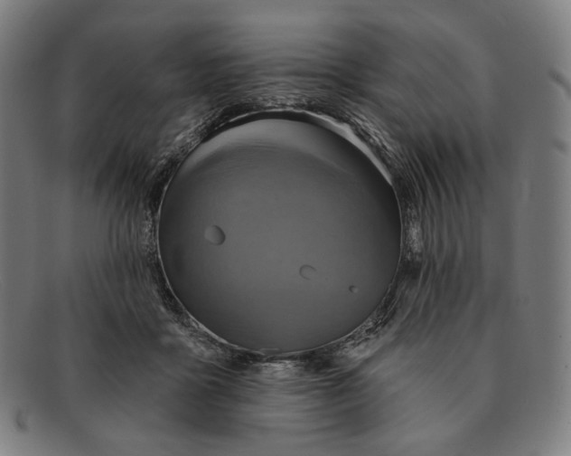 X0000091290411200708311321