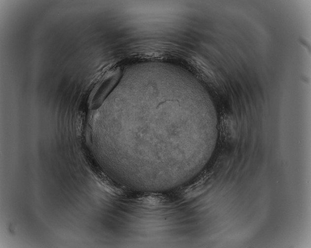 X0000091290412200708311321