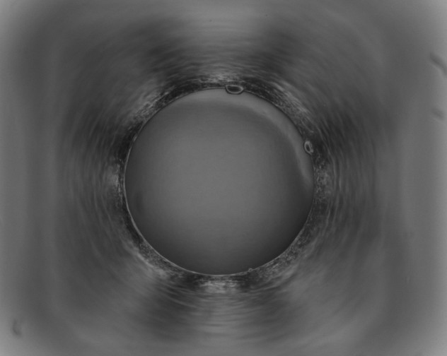 X0000091290415200708311321