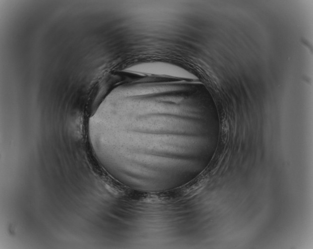 X0000091290416200708311321