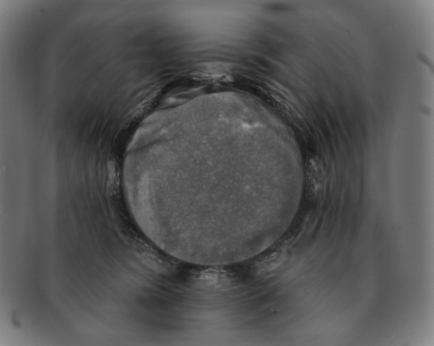 X0000091290420200708311321