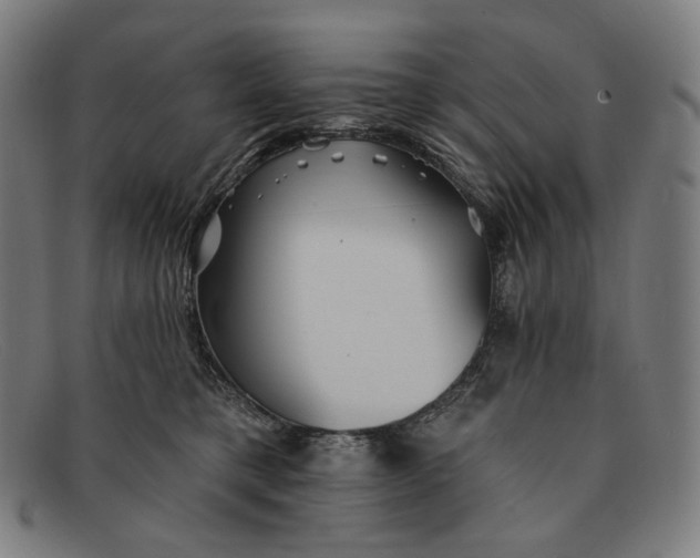 X0000091290421200708311321