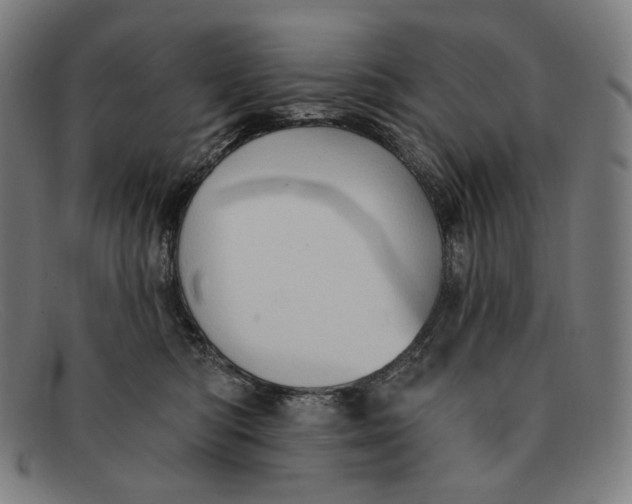 X0000091290422200708311321