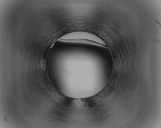 X0000091290425200708311321