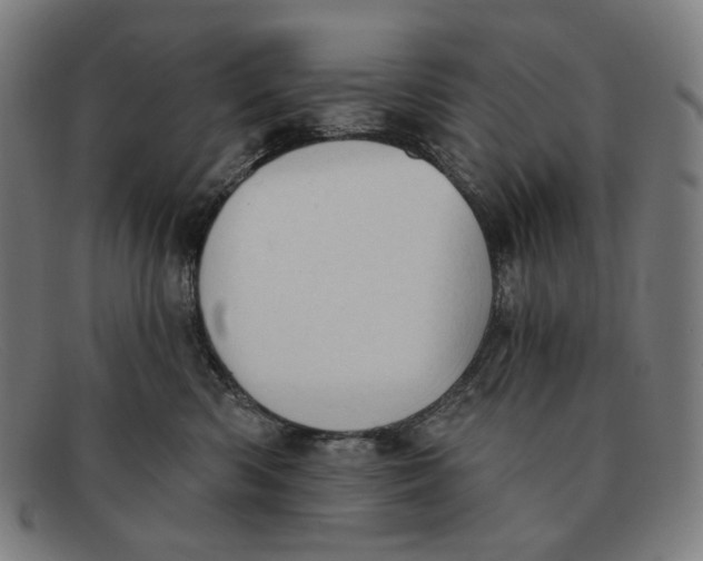 X0000091290426200708311321