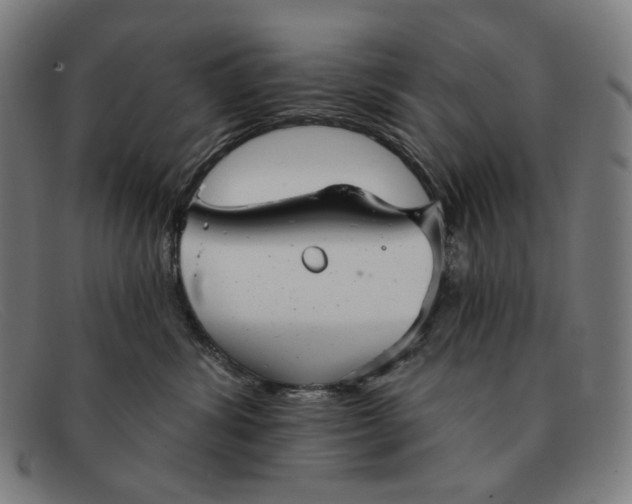 X0000091290428200708311321