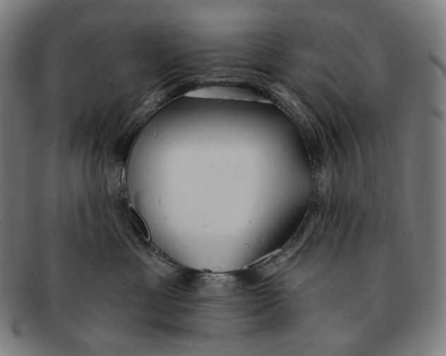 X0000091290429200708311321