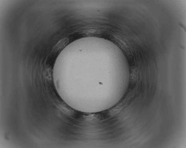 X0000091290430200708311321