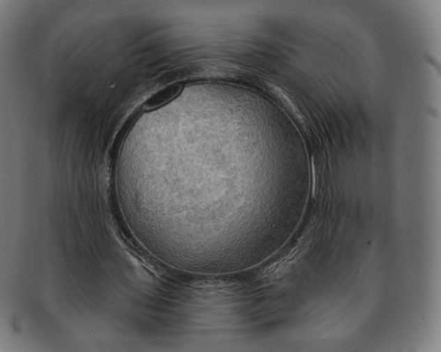 X0000091290435200708311320