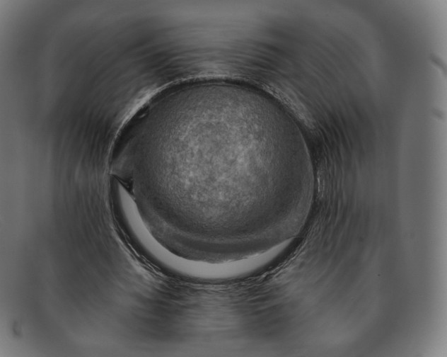 X0000091290436200708311320