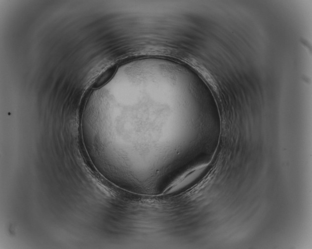 X0000091290437200708311320